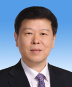 王軍[國家稅務總局局長]