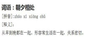 朝夕相處 朝夕相處
