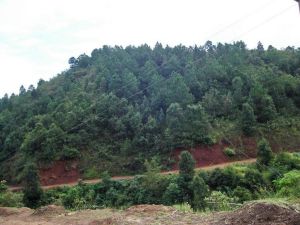 小莊河村 小莊河村