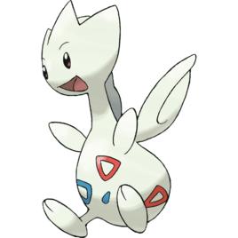 波克基古 波克基古