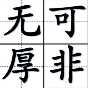無可厚非[漢語詞語]