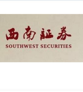 西南證券 西南證券