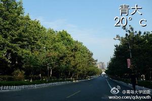 青島大學TMT項目 青島大學TMT項目