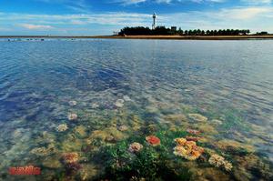 中國大陸南極村