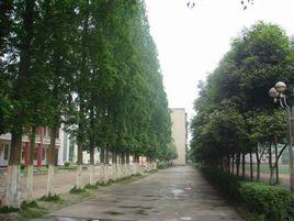 眉山市東坡區永壽高級中學校 眉山市東坡區永壽高級中學校