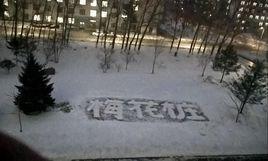 東北農業大學梅花樁武術協會 東北農業大學梅花樁武術協會