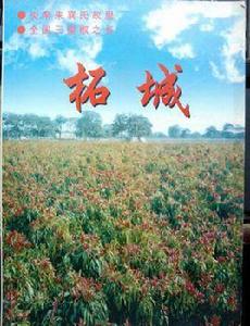 柘城三櫻椒 柘城三櫻椒