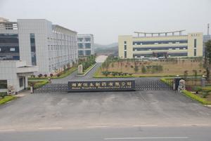 湖南恒生製藥有限公司