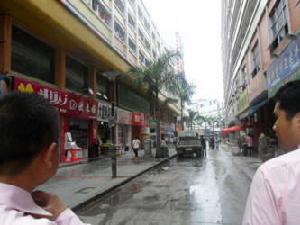 綠色滿庭芳 綠色滿庭芳