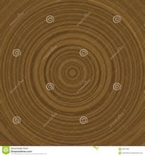 樹木年代學 樹木年代學