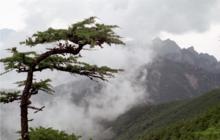 陝西太平國家森林公園