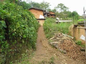 小芒蚌村 小芒蚌村