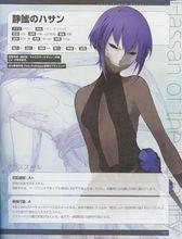 《Fate Grand Order material IV》