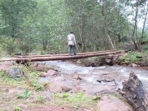 木瓜登自然村 木瓜登自然村