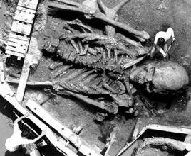 巨人化石 巨人化石