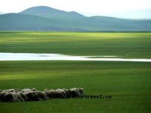 烏拉特中旗 烏拉特中旗