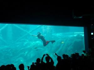 (圖)合肥漢海極地海洋世界