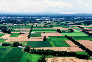 十勝平原 十勝平原