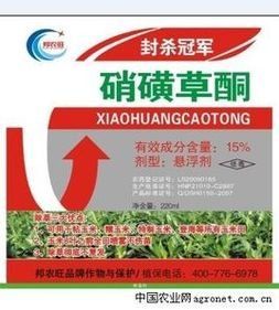 硝磺草酮 硝磺草酮