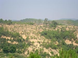 秉烈自然村 秉烈自然村