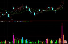 股票機構 股票機構