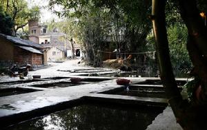 金村[浙江省景寧縣外舍鄉金村]