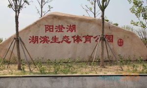 生態體育 生態體育