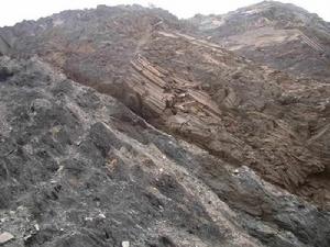 煤層沉積環境 煤層沉積環境