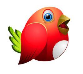 深圳市紅鳥網路科技有限公司 深圳市紅鳥網路科技有限公司