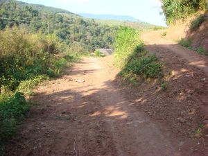 南弄新寨一隊村 南弄新寨一隊村