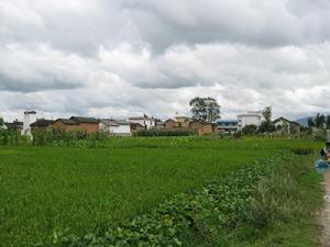 賈官屯自然村 賈官屯自然村