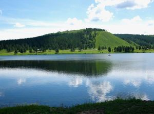 紅花爾基樟子松林自然保護區 紅花爾基樟子松林自然保護區