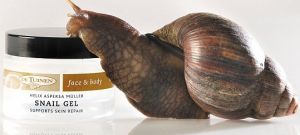 蝸牛美容 蝸牛美容