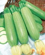 凱旋2號 凱旋2號