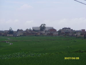 沙壩溝村 沙壩溝村