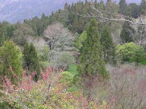 阿里山國家風景區
