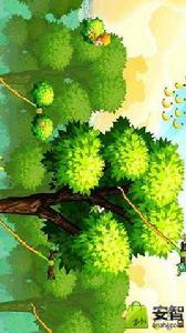 猴子的香蕉 猴子的香蕉