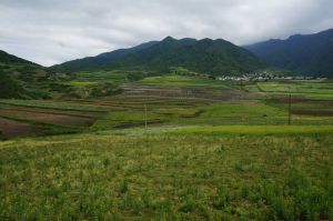小塘坡自然村 小塘坡自然村