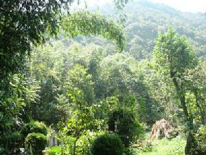天坪塘子自然村 天坪塘子自然村