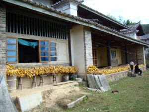 下紙廠自然村 下紙廠自然村