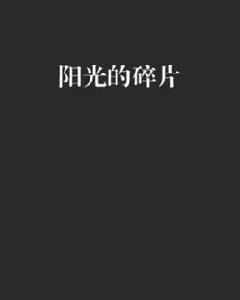 陽光的碎片 陽光的碎片