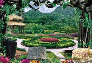 廣西藥用植物園 廣西藥用植物園