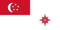新加坡共和國海軍部隊