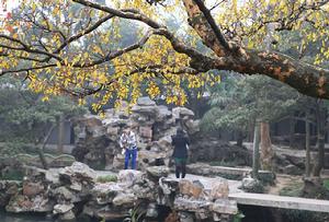 拙政園高清大圖1