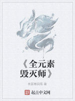 《全元素毀滅師》 《全元素毀滅師》