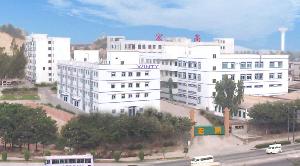 深圳市賽拓普電子有限公司