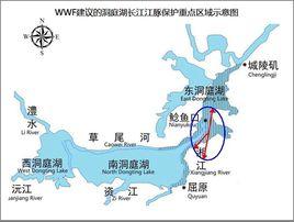 就地保護 就地保護