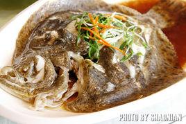 紅燒多寶魚 紅燒多寶魚