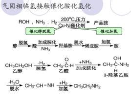 羥氨基化 羥氨基化