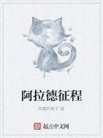 阿拉德征程 阿拉德征程